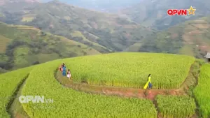 Rubik Cuộc sống ngày 20/7/2025