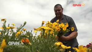 Bản tin Ngày mới ngày 11/8/2025