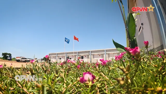 Nối nhịp bình yên