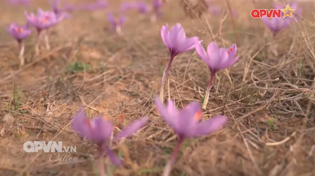 Rubik Cuộc sống ngày 06/12/2025