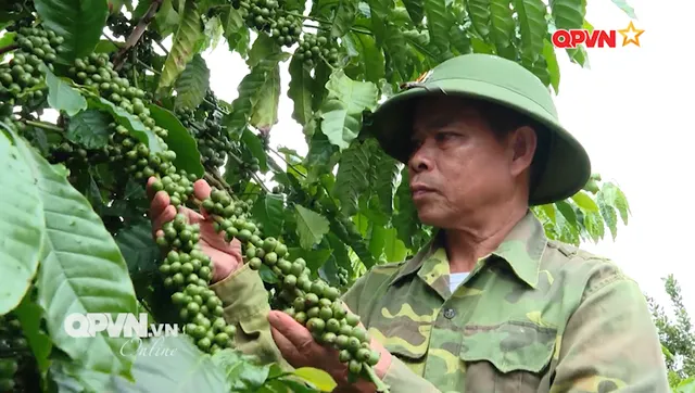 Trái ngọt trên vùng đất đỏ