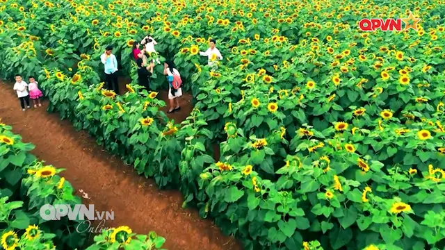 Rubik Cuộc sống ngày 17/12/2025