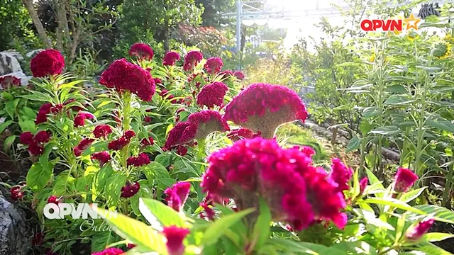 Mô hình hộ khá, giàu đỡ đầu cho hộ nghèo