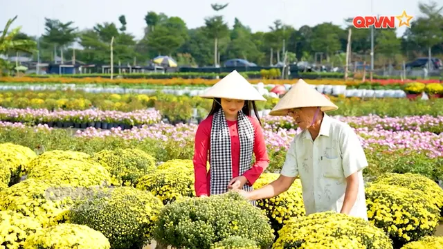 Sắc hoa miền Tây