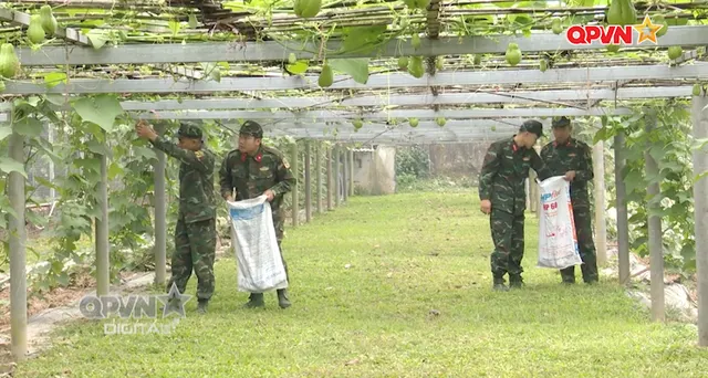 Tăng gia chủ động