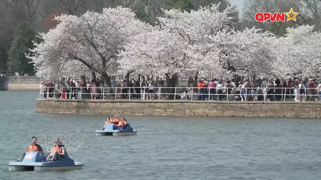 Bản tin Quốc tế ngày 29/3/2026