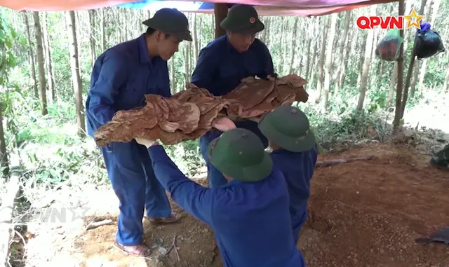 Lời hứa với người nằm lại