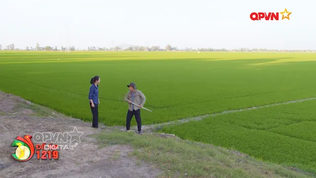 Nhiệm vụ chủ yếu về y tế và dân số - Phần 2