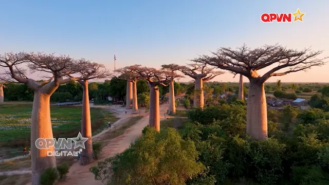 Tin Quân sự Quốc phòng ngày 28/4/2026