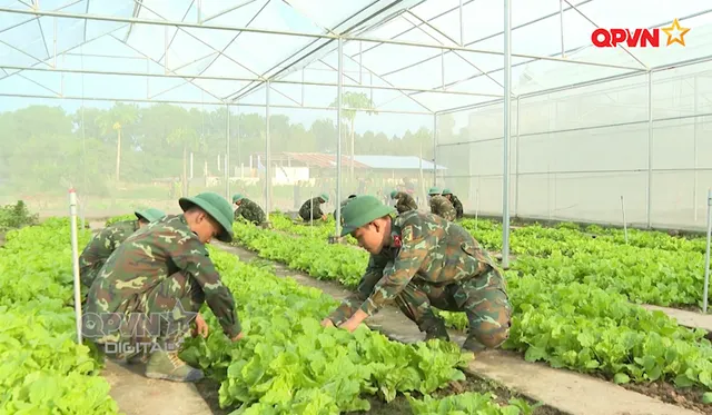 Bữa ăn bộ đội ổn định giữa biến động thị trường