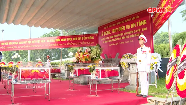 Đi tìm đồng đội - Số 331