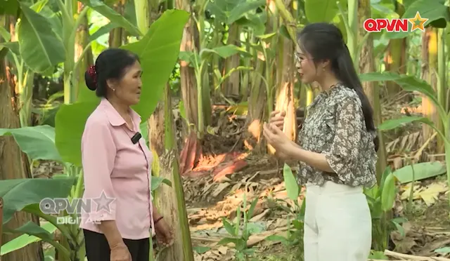 Ngày mới với QPVN 05/6/2026