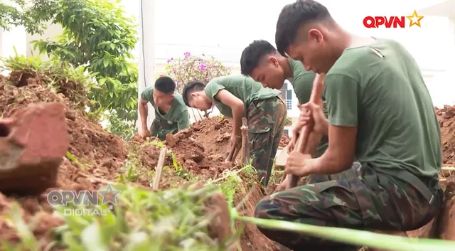 Ngày mới với QPVN 10/7/2026