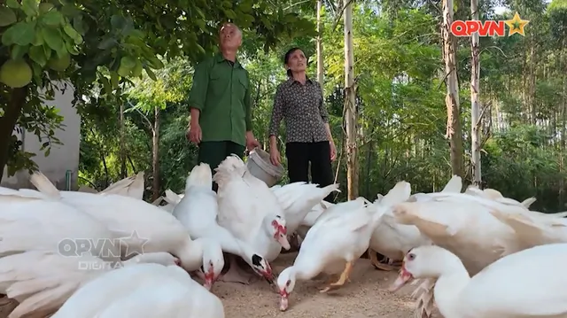 Vốn nghĩa tình
