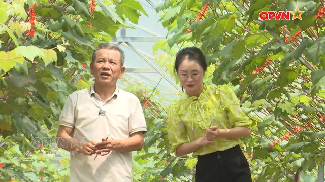 Ngày mới với QPVN 18/8/2026