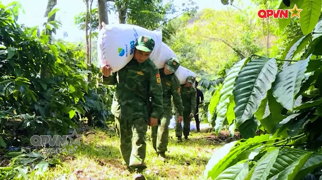 Bản tin Trưa ngày 31/8/2026