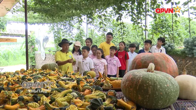 Nông trại hạnh phúc