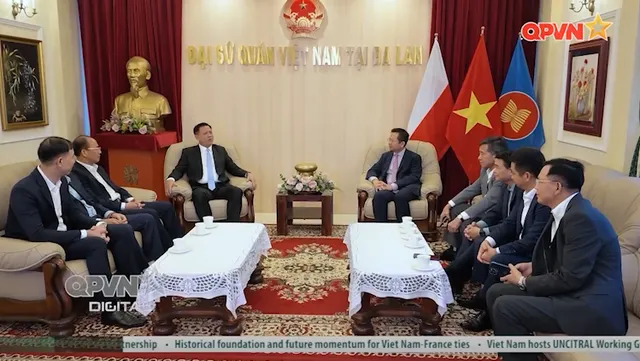 Bản tin tiếng Anh 15h ngày 08/9/2026