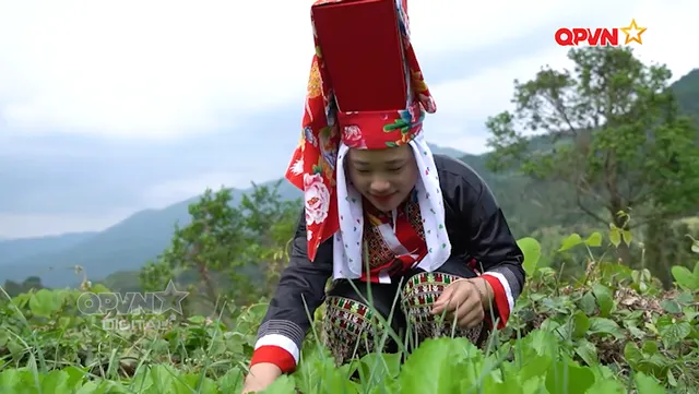Những bản làng hạnh phúc