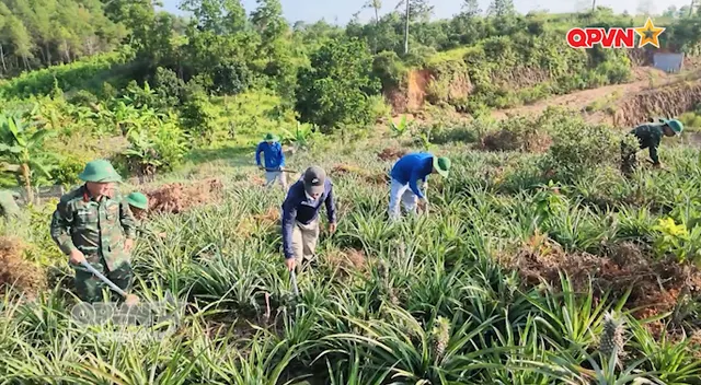 Những "kĩ sư nông nghiệp" đặc biệt