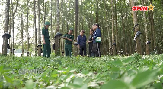 Xóm đường biên