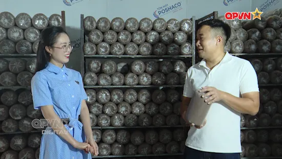 Ngày mới với QPVN 15/10/2026