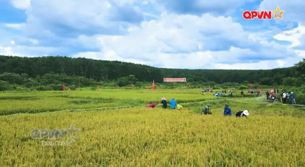 Dựng xây quê hương mới