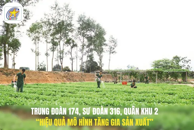 Trung đoàn 174, Sư đoàn 316, Quân khu 2: Hiệu quả mô hình tăng gia sản xuất
