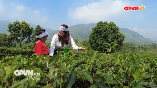 Văn hóa - Sức mạnh nội sinh