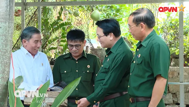 Dấu chân người lính