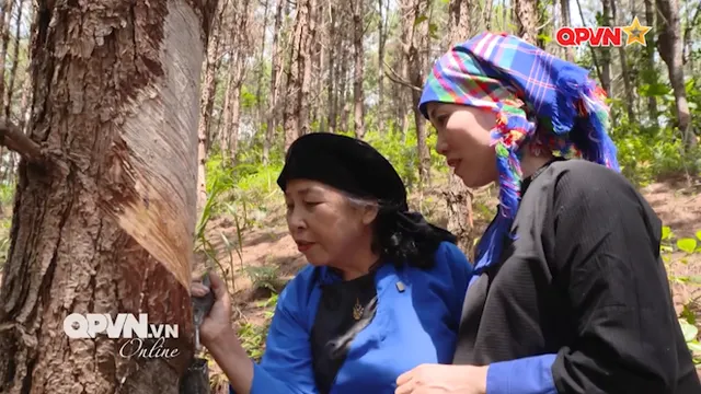 Bản vui bước quân dân - Tập 2