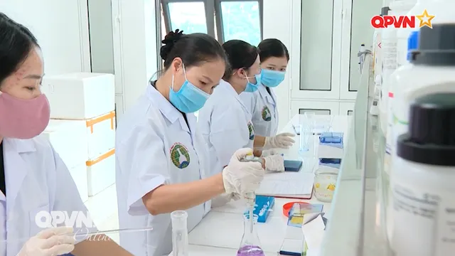 Đổi mới để phát triển