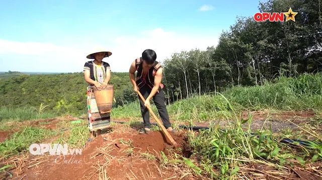 Nghị quyết 68 mở đường cho doanh nghiệp tư nhân vươn tầm: Tập 3 - "Giữ Rừng - Giữ Việc"