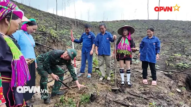 Tình đất, tình người