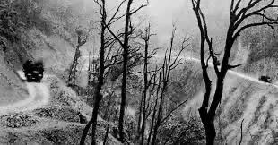 Có một tình yêu như thế - Tác giả: Nguyễn Bá Doanh