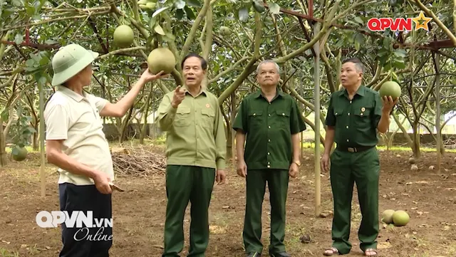 Vươn lên từ gian khó